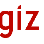 Local Government Finance and Revenue Management Advisor