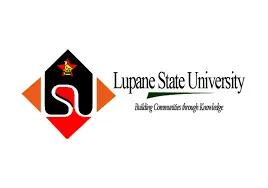 Senior Library Assistant 