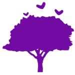 Jacaranda Foundation