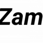 Partnerships Director