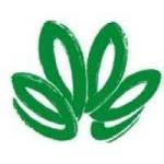 Mineral Analyst Technician