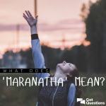 Maranatha Academy of Excellence