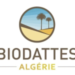 Ingénieur Methode