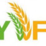 Wayfina Enterprises Ltd