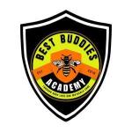 Best Buddies Academy