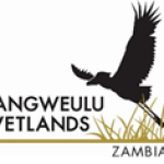 Bangweulu Wetlands