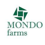 Mondo Farms Limited