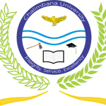 Chief Financial Officer