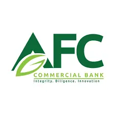 Cyber Risk Analyst