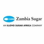 Electrical Plant Engineer