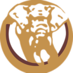 CHIEF INTERNAL AUDITOR – Chobe Explorations
