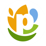 ChiefF Executive Officer