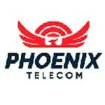 Phoenix Telecom PLC