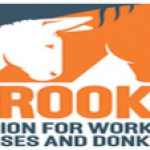 The Brooke Hospital for Animals