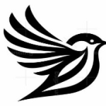 Sparrowlight CashFin Limited