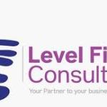 LEVEL FIELD CONSULTING