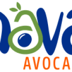 Nava Avocado Limited