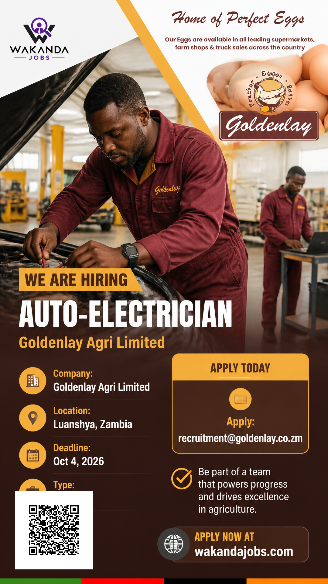 Auto-Electrician